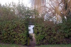 Claygates March 2010
